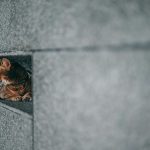 Smart Window Sensors for Home Security Alerts