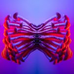 The Magic of One-Pot Meals for Families