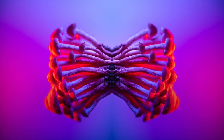 The Magic of One-Pot Meals for Families