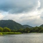 Tropical River Cruises Into Rainforest Heartlands