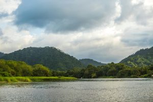 Tropical River Cruises Into Rainforest Heartlands