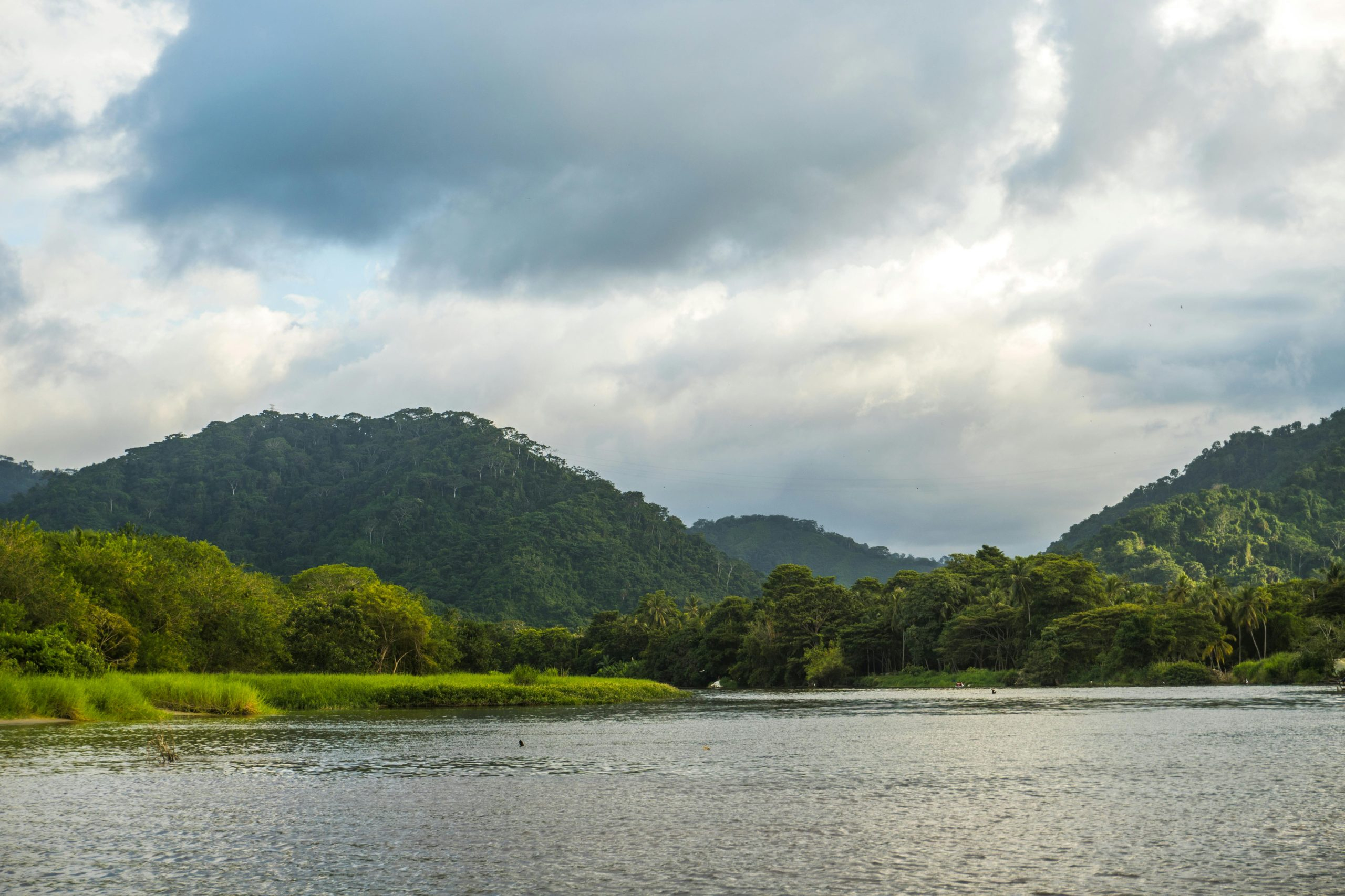 Tropical River Cruises Into Rainforest Heartlands