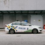 The role of government incentives in market dynamics