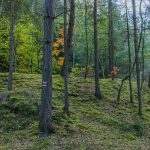 Eco capsule drops pair timeless with seasonal color