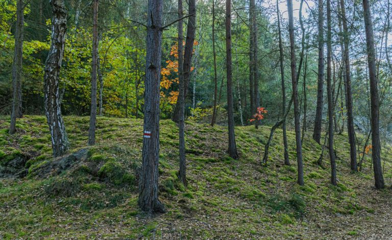 Eco capsule drops pair timeless with seasonal color