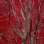 Unisex lines lead forward-thinking seasonal collections