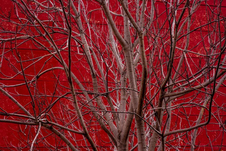 Unisex lines lead forward-thinking seasonal collections