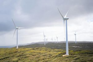Sustainability Practices Driving Change in Fashion Supply Chains