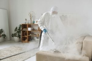 Compact Steam Cleaners Effective on All Surfaces