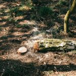 Multi-season layering pieces cut down buying needs