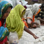 Community voting platforms guide product launches and restocks