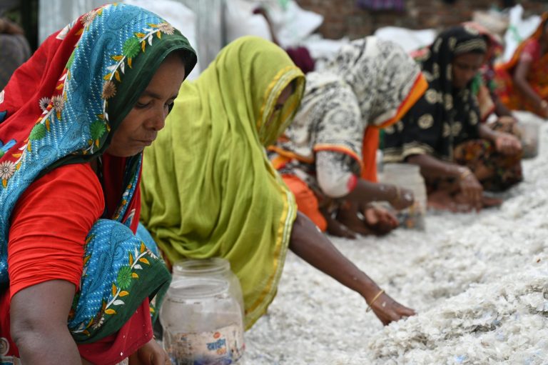 Community voting platforms guide product launches and restocks