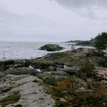 Eco-Cruises Preserving Marine Habitats While Exploring Them