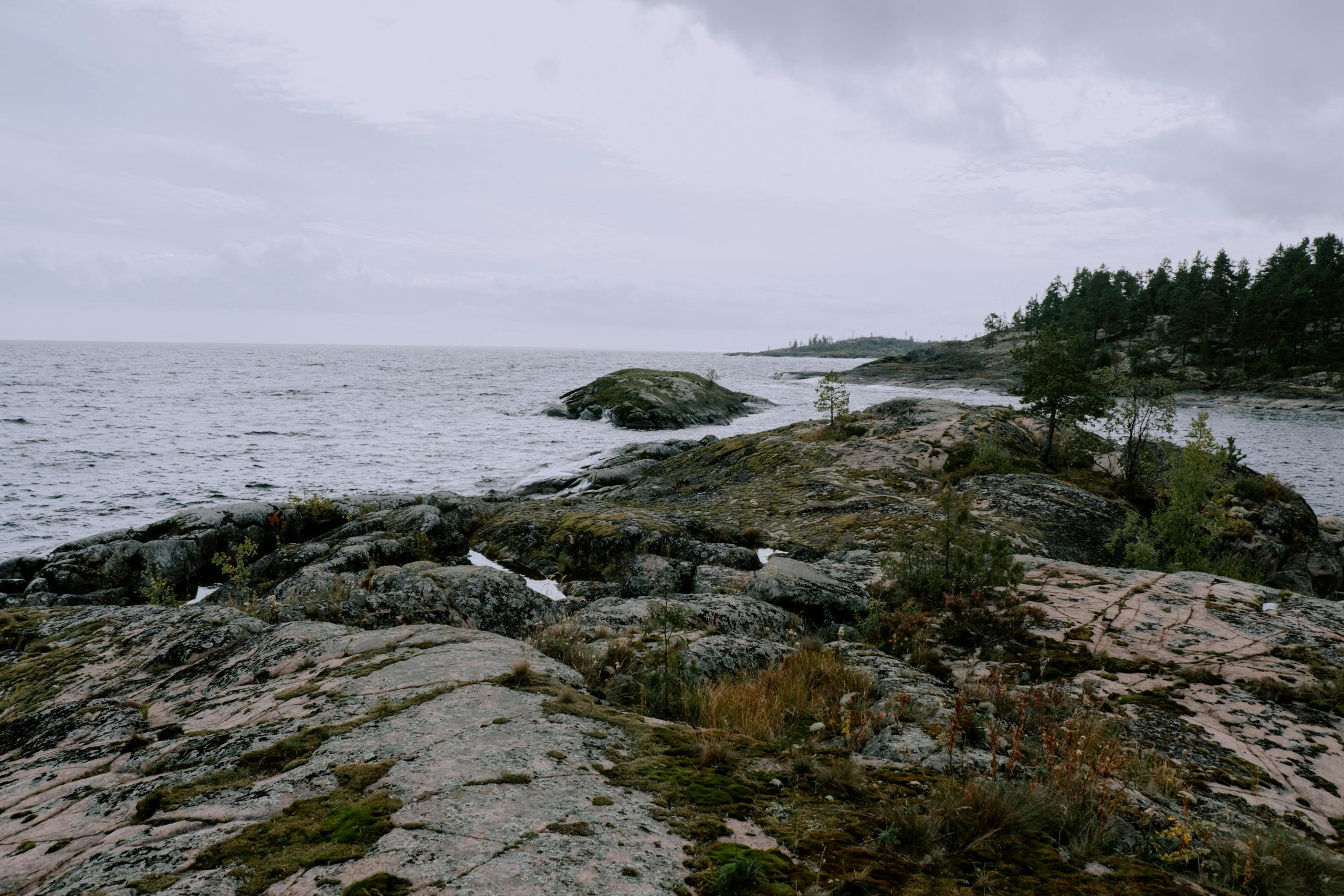 Eco-Cruises Preserving Marine Habitats While Exploring Them