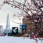 Mentorship: Building Relationships for Career Growth