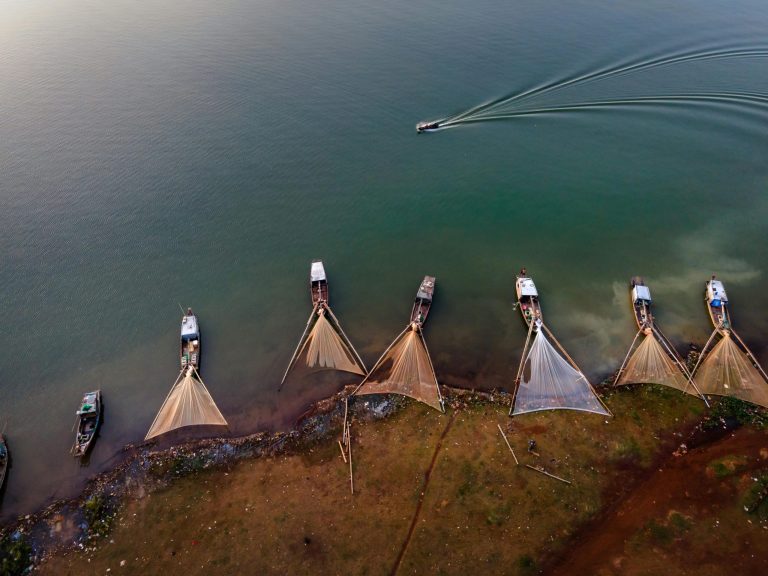 Exploring Sustainable Fashion Trends Reshaping the Global Industry