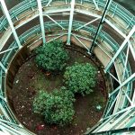 Green building certifications gain traction with homebuyers