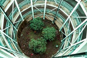 Green building certifications gain traction with homebuyers