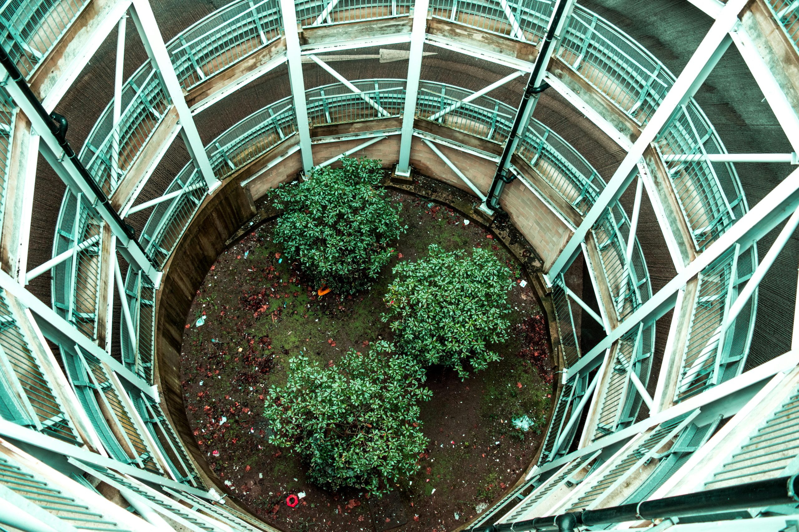Green building certifications gain traction with homebuyers