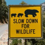 Biometric USB Drives Protecting Sensitive Documents Securely