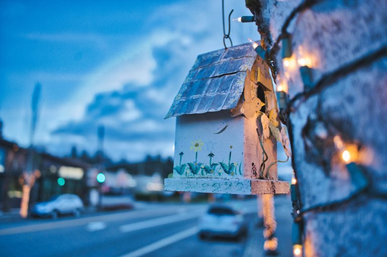 Vehicle-to-Grid Systems Supporting Renewable Energy Storage