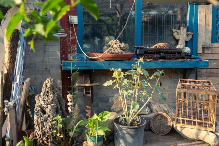 Integrating agriculture education into urban school settings